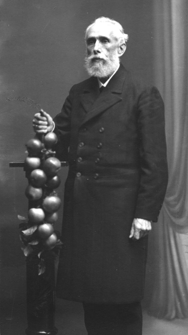 Obstzüchter Diedrich Uhlhorn mit der Apfelsorte Creo (historische Aufnahme)